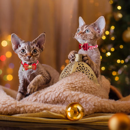 2Pack Halloween/Christmas Cat Collar with Bell Quick Release Safe Buckle Festival Breakaway Cat Collars with Bowtie Size Adjustable from 8" - 12"